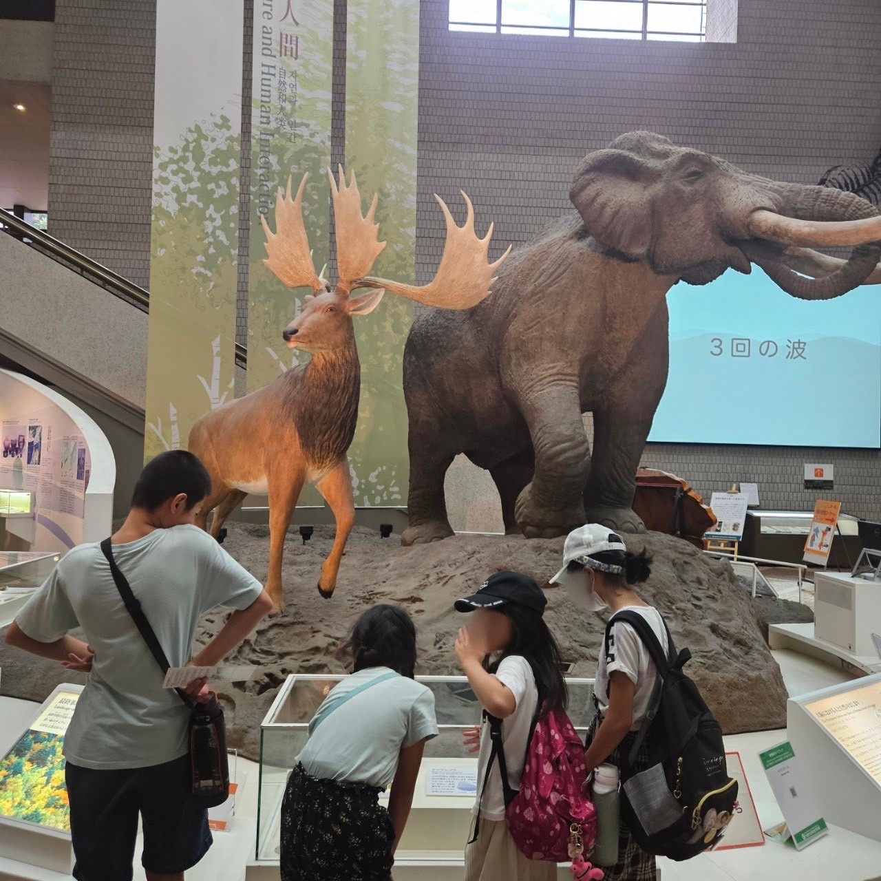 大阪市浪速区の放課後等デイサービスオハナピース大阪日本橋の大阪市立自然史博物館へおでかけ